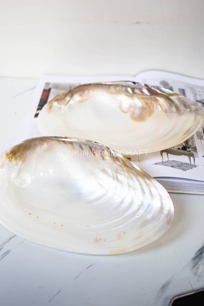 So Mother of Pearl Medium Seashell Plate