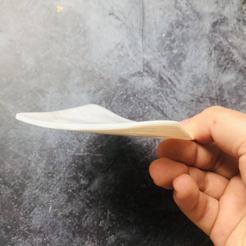 Mother of Pearl Seashell Dish for Caviar Serving