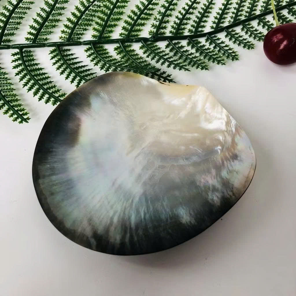 Mother of Pearl Seashell Dish for Caviar Serving