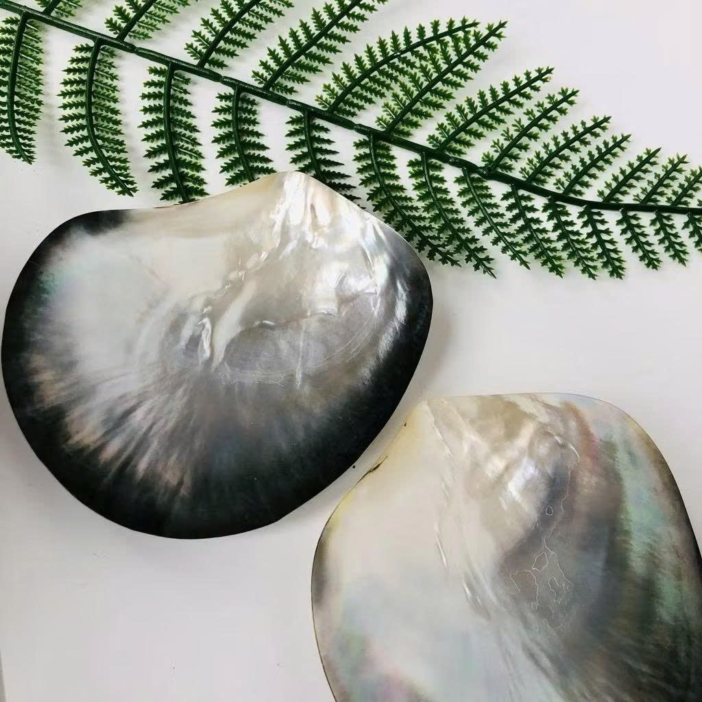 Mother of Pearl Seashell Dish for Caviar Serving