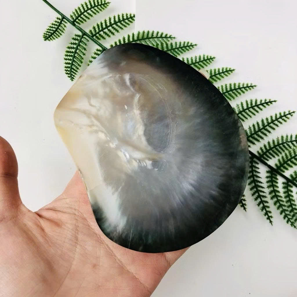 Mother of Pearl Seashell Dish for Caviar Serving