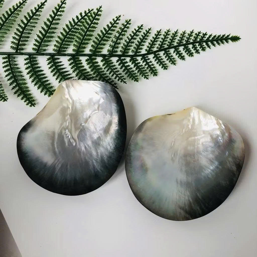 Mother of Pearl Seashell Dish for Caviar Serving
