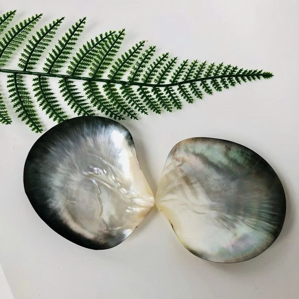 Mother of Pearl Seashell Dish for Caviar Serving