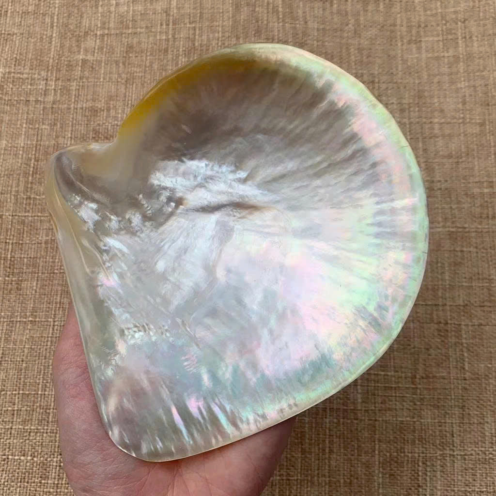 Mother of Pearl Seashell Dish for Caviar Serving