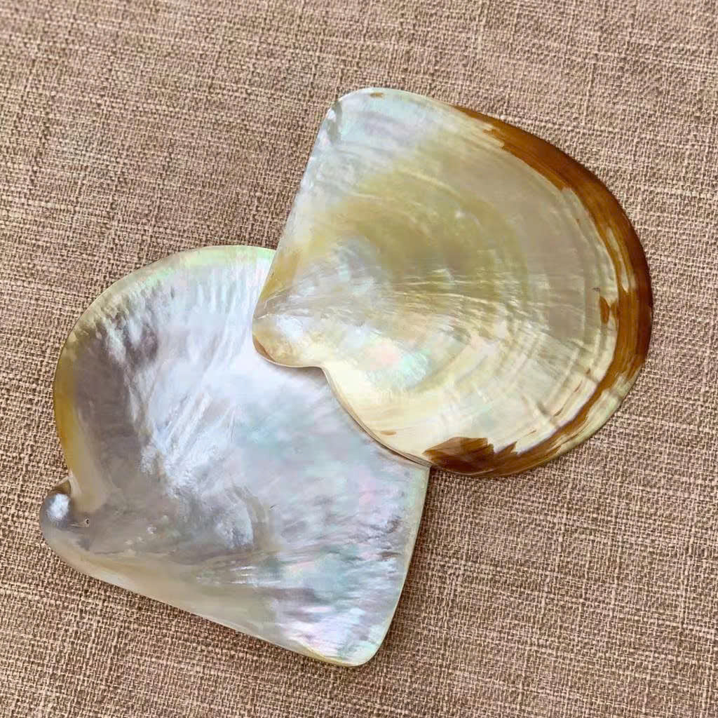 Mother of Pearl Seashell Dish for Caviar Serving