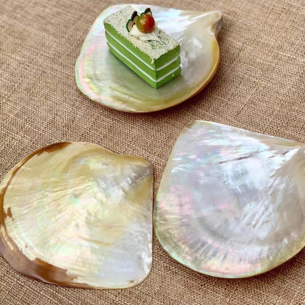 Mother of Pearl Seashell Dish for Caviar Serving