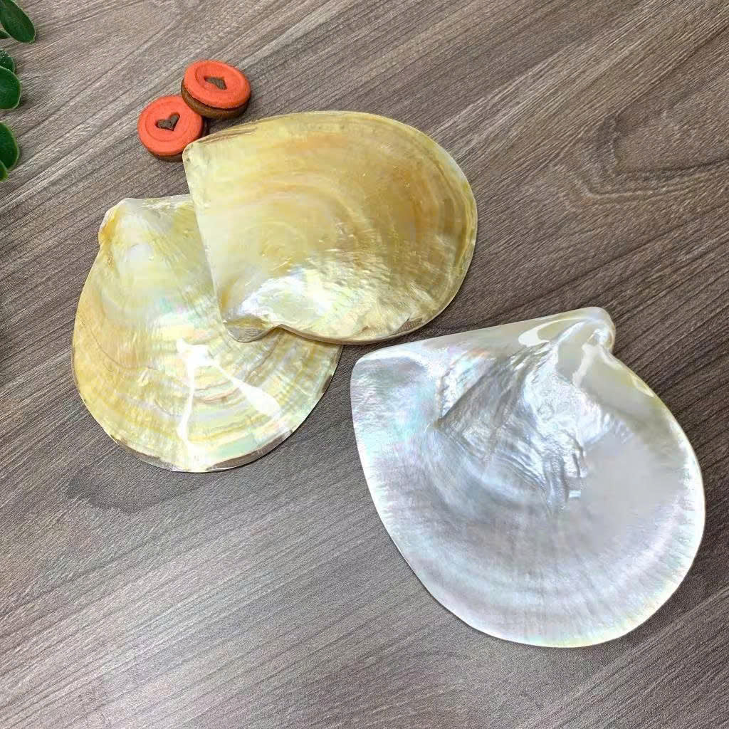 Mother of Pearl Seashell Dish for Caviar Serving