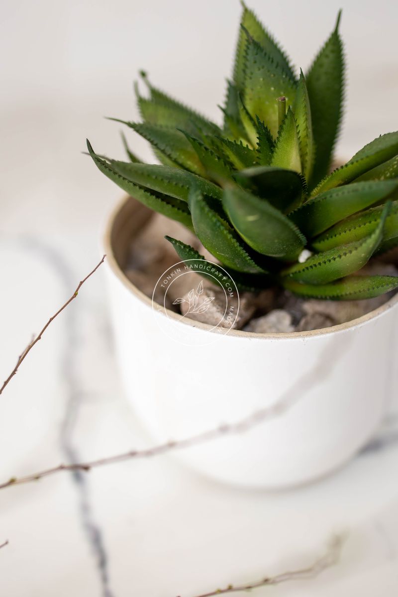 Mon Personalized Bamboo Planter - TONKIN HANDICRAFT