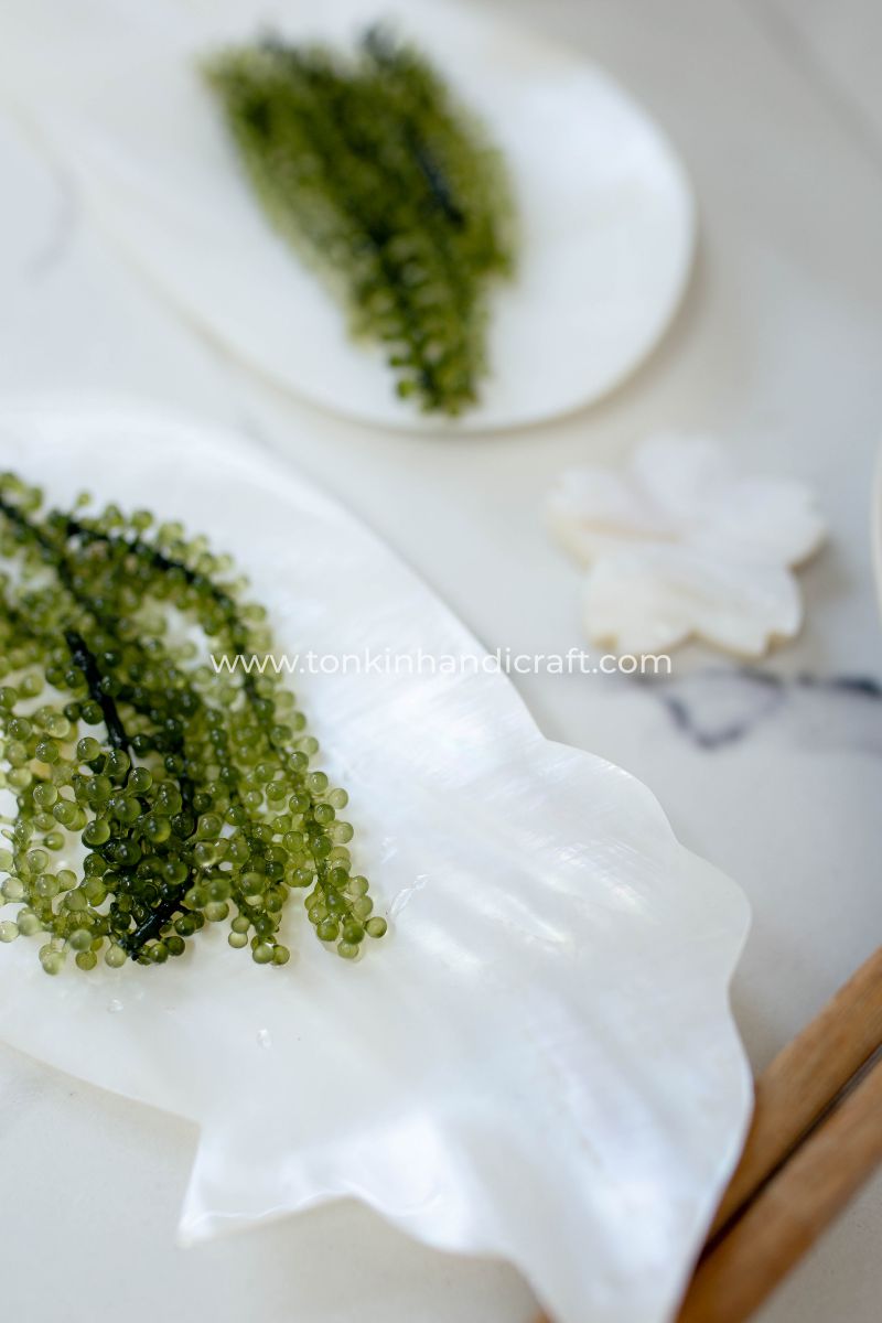 Mother of Pearl Seashell Dish for Caviar Serving - TONKIN HANDICRAFT