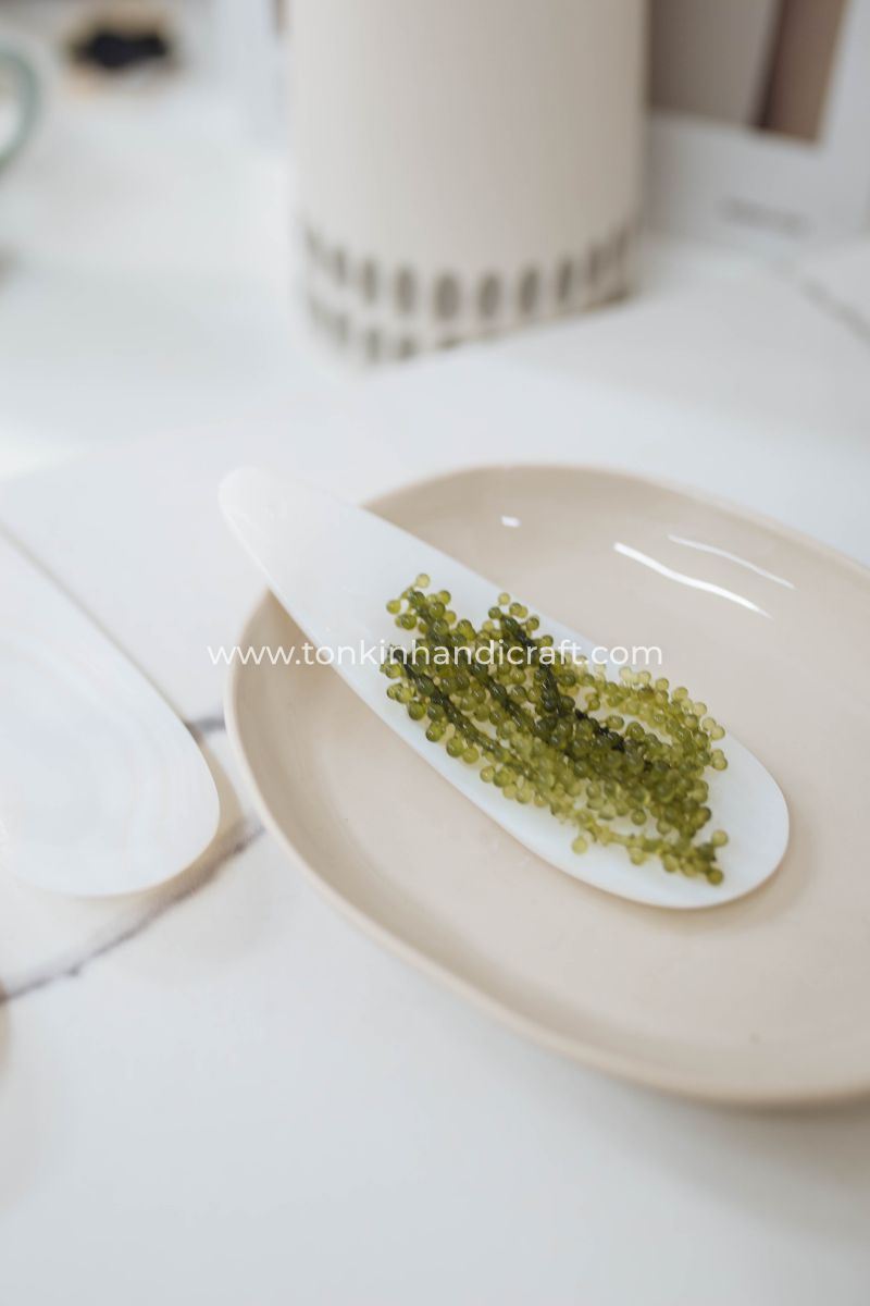 Personalized Seashell Oyster Caviar Spoon - TONKIN HANDICRAFT