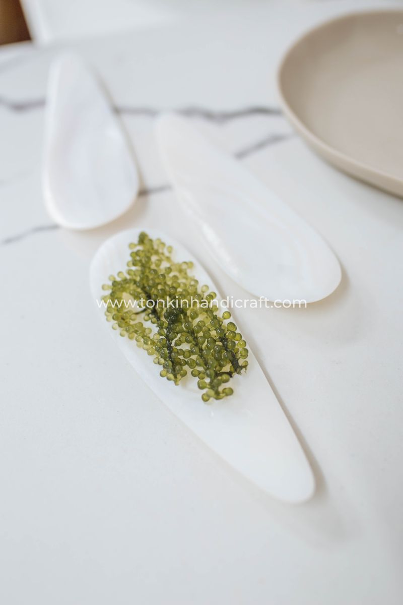 Personalized Seashell Oyster Caviar Spoon - TONKIN HANDICRAFT