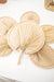 Set of 6 Palm Dried fans - TONKIN HANDICRAFT