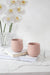 Grink Ceramic Planter - TONKIN HANDICRAFT