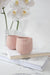 Grink Ceramic Planter - TONKIN HANDICRAFT