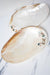 Mother of Pearl Seashell Plate - TONKIN HANDICRAFT