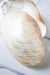 Mother of Pearl Seashell Plate - TONKIN HANDICRAFT