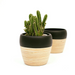 Bamboo Plant Pot - TONKIN HANDICRAFT